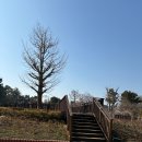 서미선탁구클럽