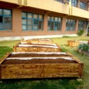 학현초등학교 이미지