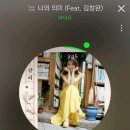 오늘의댕댕