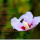 백산상회 이미지