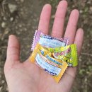 하마정원 | 양산 등산코스 추천 | 범어사 근처 맛집 하마정원 | 한우불고기 솥밥정식 리얼후기