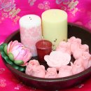 아리랑하우스 이미지