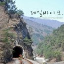 정선양떼목장 이미지
