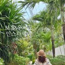 보홀 우베코 인스타 예약 아이디 메뉴추천