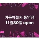 야옹아 놀자 이미지