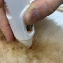 위런한방재활동물병원