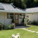 시작에머물다 이미지