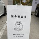 뽀송 펫 살롱 이미지