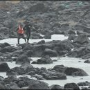 선인명과 이미지