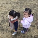 라엘어린이집 이미지