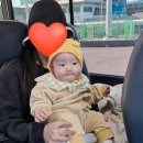 교촌상회 이미지