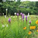 고모저수지 이미지