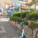 라임 (Lime) 이미지