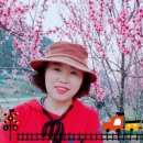 동부꽃농원 이미지