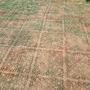 도시숲(석남녹지도시숲) | 10월 무료전시 열린 송현 녹지광장 서울도시 건축비엔날레 2025전시 관람 후기