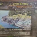 태하모노레일 이미지