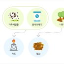 버드에너지 이미지