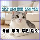 전남장례지도사교육원 | 전남 반려동물 장례식장 추천 2곳│전남 반려동물 장례 주의사항부터 비용, 후기까지 한 글에