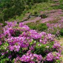 의령-의령-의령-D-3 이미지