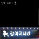강아지세상 | 망포동 애견샵 강아지세상 위치.가격.시간.후기