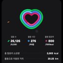 도화종합시장 | 풍경변화, 중앙도매수산시장, 모닝마켓, 조가이이치바, 당일온천, 홋카이도대학, 저녁에 헤메다닌후기)