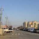 장호원전통시장 | 복돼지감자탕 :: 장호원 맛집 감자탕 추천 후기