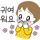 아라와 마루 이미지