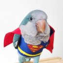 타이니멀_TINYMAL 이미지