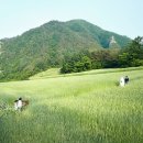 가마솥 민박 이미지