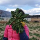 상읍농장 이미지