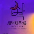 새벽제주혼술바 이미지