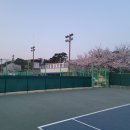 백운 테니스장