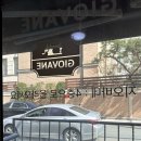 헤어바이수아 | 청담 예복 대여 지오바네 계약 후기(feat. 예복의 모든 조합을 보여드립니다)