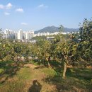 우종은농장 이미지