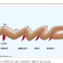 마르튀스님의 옹색한 변명 이미지