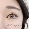 아린 아이래쉬