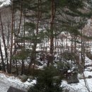 운두령산장 이미지