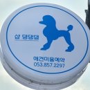 샵댕댕댕 이미지