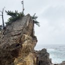 장호에너지 | 삼척 1박2일 여행코스 디테일 가격정보까지!