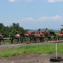 성읍승마장 이미지