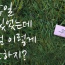 모노클안경 네이버블로그