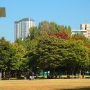 서울숲10 이미지
