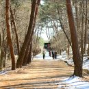 (2차) 2025.12.13.토 [길과 전설]우리나라 제1호 고갯길 충주 하늘재길 &amp; 데크길로 안전하게 열린 악어봉 이미지