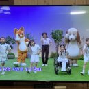 딩동댕유치원 이미지