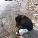 [부안 여행]변산반도 생태탐방원 4인실 숙소 탐방프로그램후기