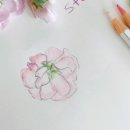 농부의 선물 이미지