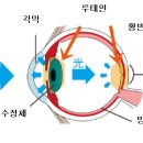 엠플러스약국 이미지
