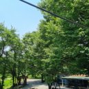 강가포근한집 이미지