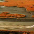 순천만 우리 이미지