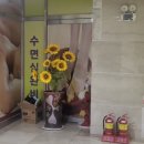 수중국전통바디샵 이미지